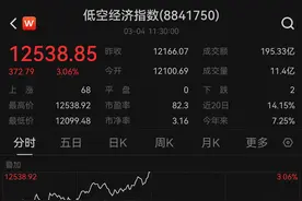 低空经济、人形机器人携手活跃，“全年投资主线”？图片