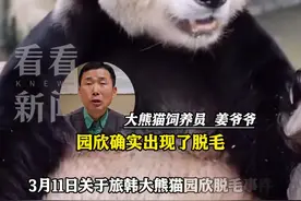 姜爷爷回应乐宝脱毛：不是身体疾病或皮肤病引起图片