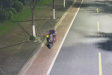 一个偷一个收 两人双双落网