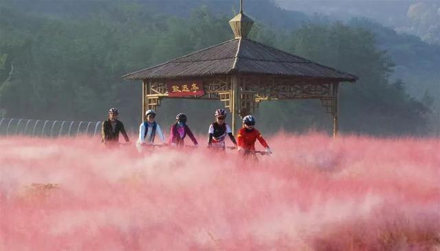 溧水秋天，有点好“骑”~