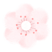 第四届全椒县马厂镇樱花季正式开幕