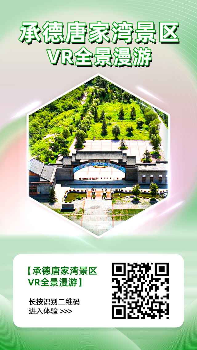 唐家湾冬日限定，幸福感拉满