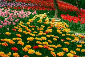 夜读丨丰子恺《春》（节选）图片