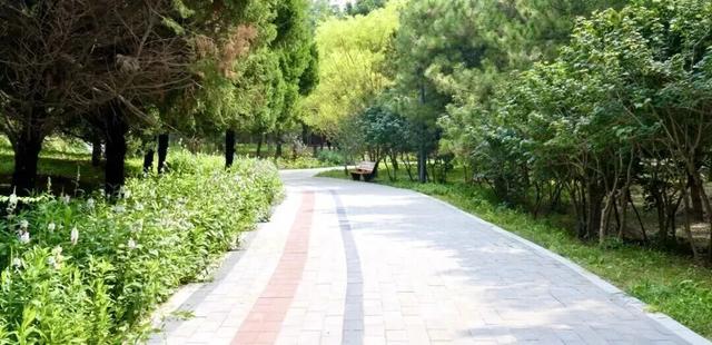 17万平方米绿廊上线！就在——