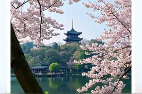 叮咚！2025春日赏花时间表请查收图片
