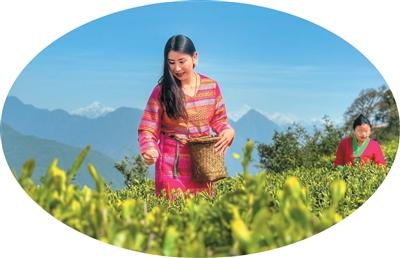 走进高原秘境（行天下）