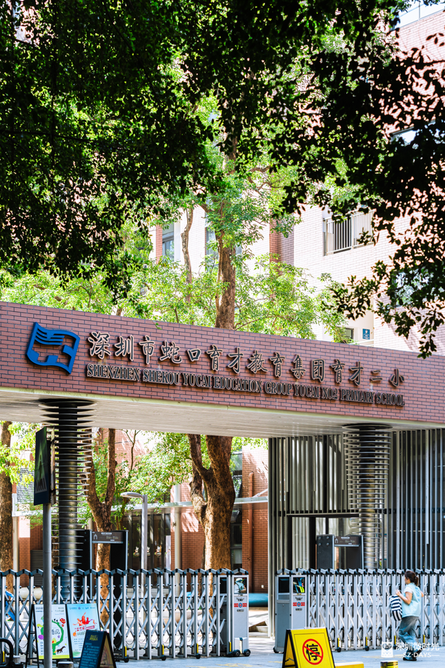 一条荔园路，多少蛇口人的前半生