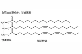 食用油燃烧后都有黑色胶状物的原因图片