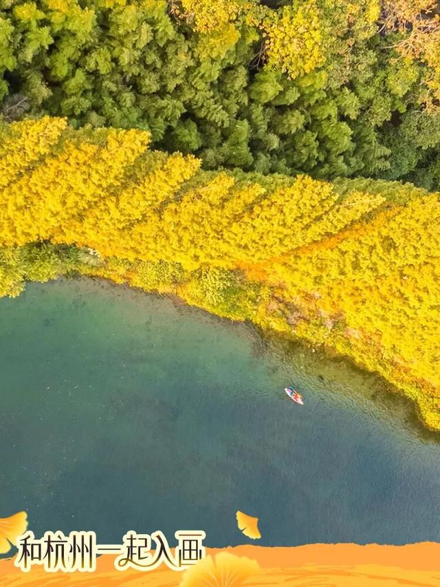 秋冬盛宴来袭，6条宝藏线路玩转杭城！