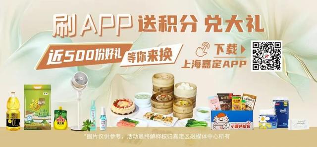 一枚小印章，把整个嘉定“盖”回家