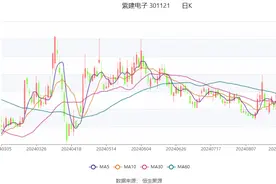 紫建电子：2024年上半年盈利2145.34万元 拟10派1.5元图片