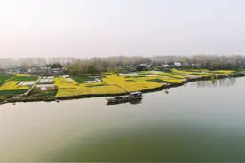 淮河两岸春风绘就田园诗画图片