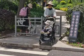 “公园城市”给市民最实在获得感 上海克服土地资源束缚，推进建设“千园之城”图片