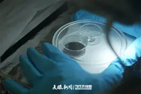 【天眼专访】探索月球背后的秘密图片