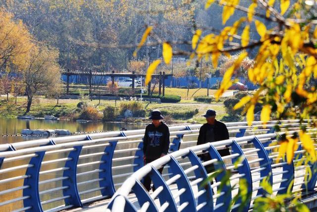 还在找威海初冬小众打卡地？这条河岸藏着惊喜