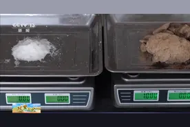 从寸草不生到收获满满 盐碱地变废为宝养出“大海虾”图片