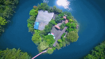 火爆全网！“活力大湾区，魅力新肇庆”！听我的，就这样宣传→