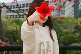 来东莞校园，邂逅N种春日限定浪漫｜莞邑校园汇图片