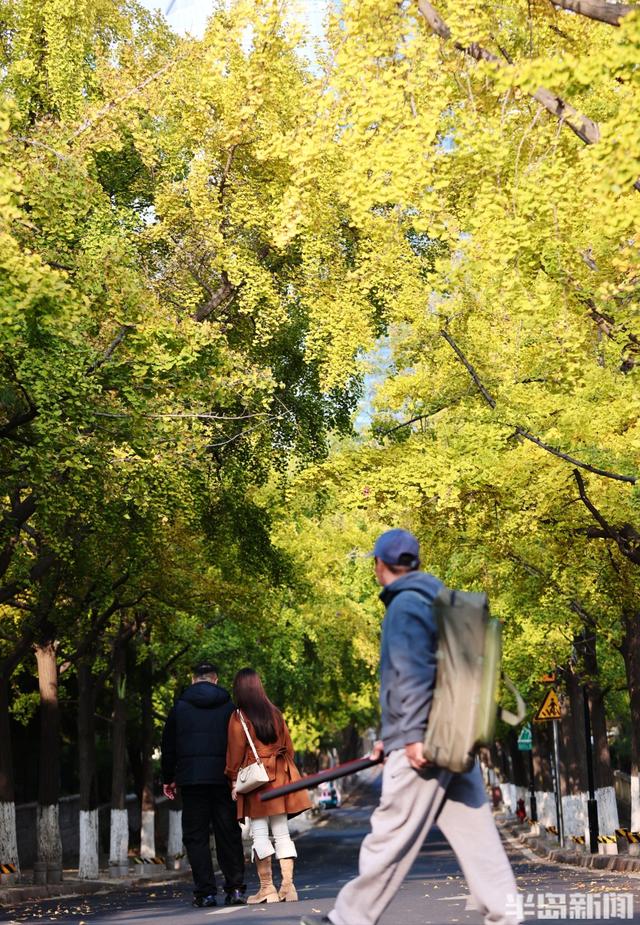 真美！又到一年赏叶时