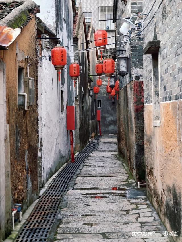 东莞人私藏 ！遇见300年客家烟火气！