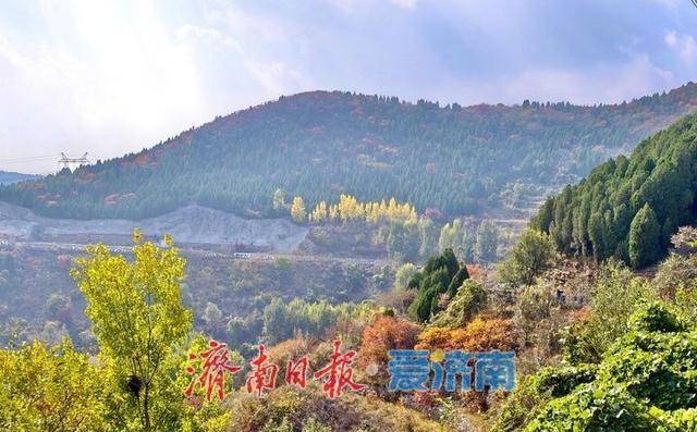 一年四季 泉在济南丨济南劈山进入红叶最佳观赏期