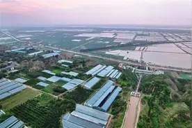 东雷抽黄灌区：智慧管水助高效用水图片