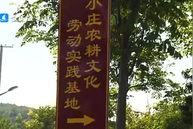 威海市环翠区：“研学+”推动小庄村乡村振兴新图景图片