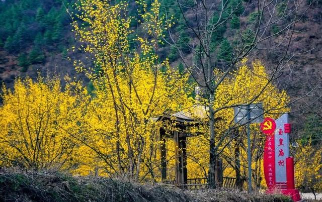 白居易偏爱的西安宝藏县城