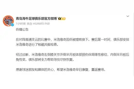 青岛海牛发布伤情公告 米洛维奇左膝半月板出现损伤图片