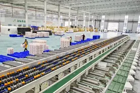 忠县：柑橘鲜果加工销售繁忙图片