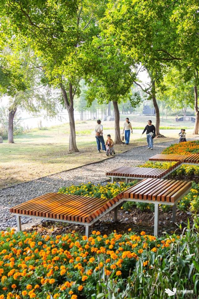 新增躺椅！东西湖这里，能“海边度假”