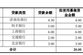 鑫闻界|山东财金集团20亿元公司债开始发行，拟全部用于偿还有息债务图片