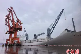 浙江台州港迎今年首批新西兰猕猴桃图片