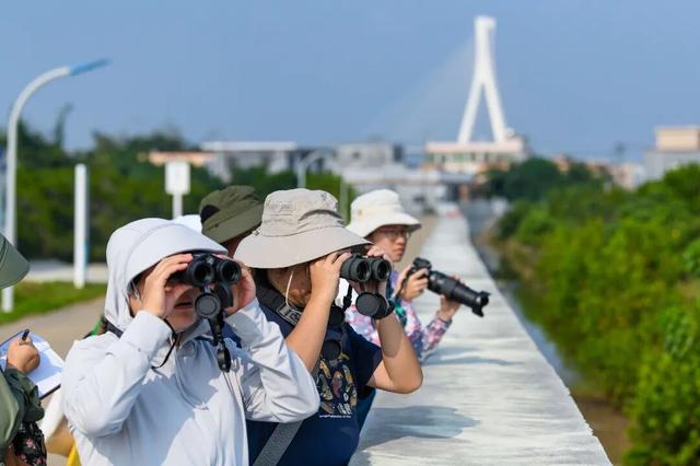 暖冬“追鸟”去！在海口美兰，邂逅灵动之美~