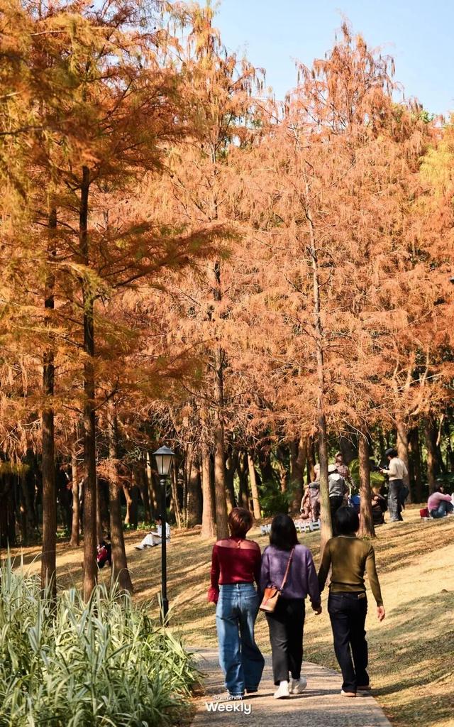 没人觉得龙岗的能量场很高吗？