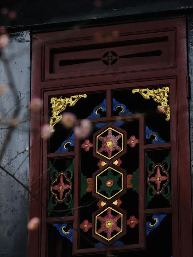 已开！成都怎么提前过上“春天”了