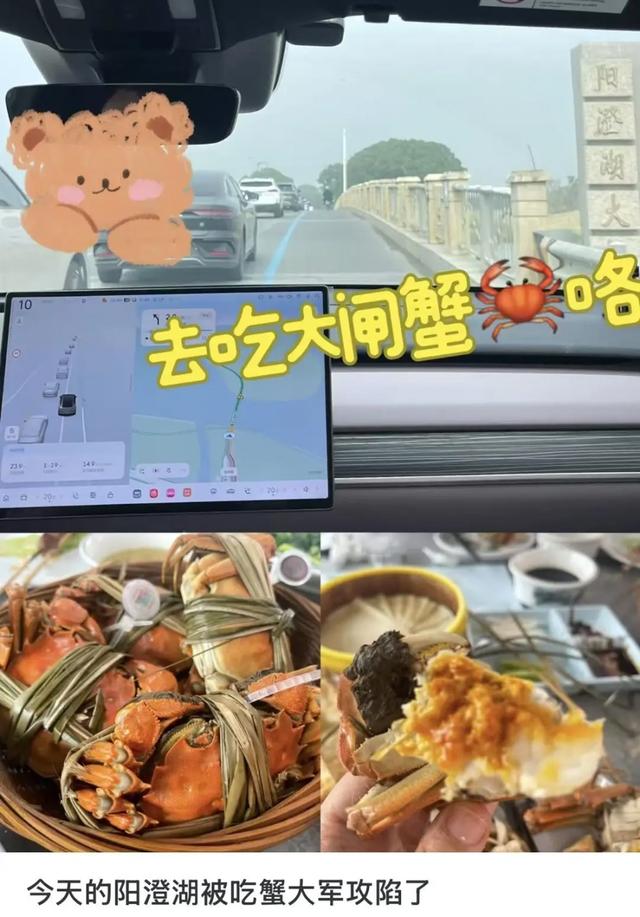 沪牌大军集体出动！这里堵车堵到猪肝红！出门导航1个半小时，实际开车4小时