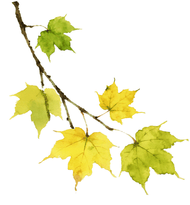 遇见丨开福·逛三园：我在「鸭嘴公园」好快乐鸭！