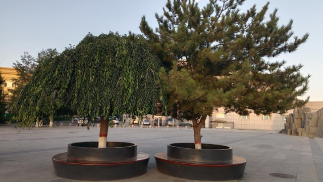 在白云鄂博，探寻令人心动的城市细节