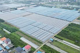 漳州市南靖县：种养加一体化 赋能乡村振兴图片