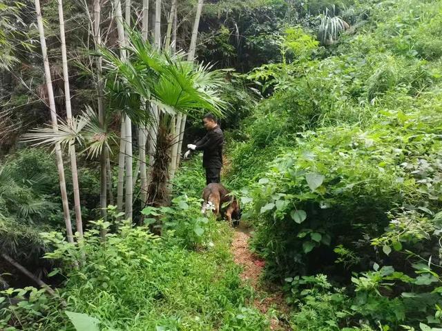 湖南新邵突然失踪的2岁女孩平安找到，当地公安：在距离家1公里外的山林石缝中发现