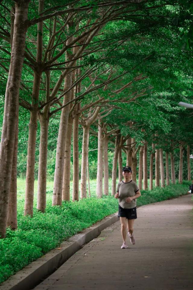 7公里黄金绿道！一天尽揽湖光山色