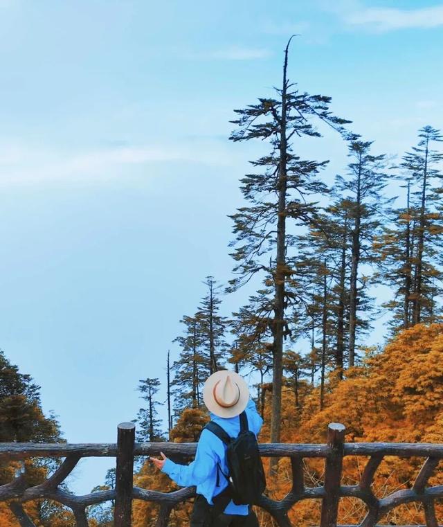 谁懂啊！这个秋天的快乐被瓦屋山承包了！