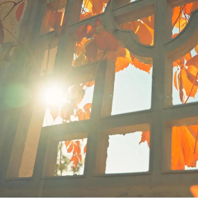 在上饶婺女洲美美入冬，朋友圈可以这样发→