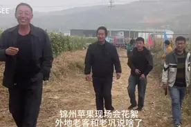 锦州苹果优质高效栽培技术现场会图片