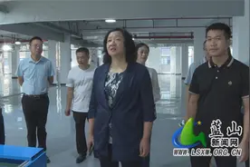蓝山县三个重大项目集中开工签约总投资10.8亿元图片