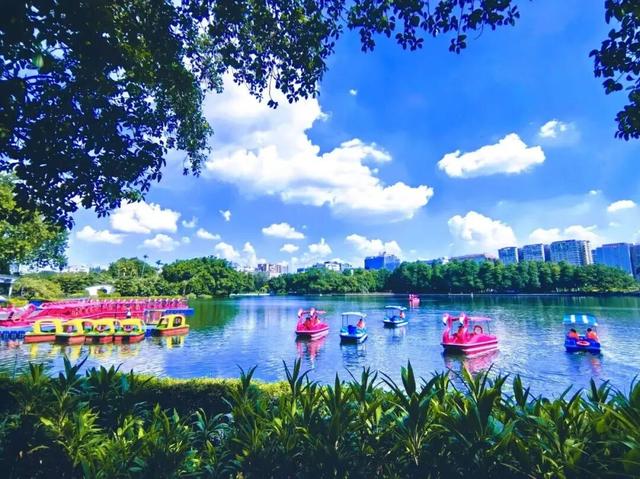 流花湖上线新玩法！缤纷游船带你解锁秋日浪漫