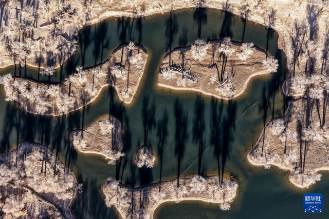 美丽中国丨额济纳：晚秋胡杨美