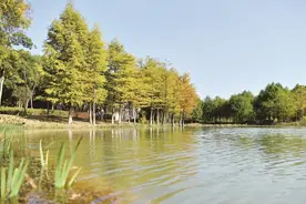 芜湖神山公园建设效果显著图片