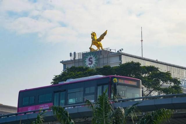 提前过年了？宝安多地“马出没”！踪影就在......